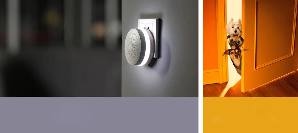 Chinese MIJIA Smart Door/ Window Sensor Human Body Sensor Wireless Switch Water Flood Leak Smoke Detector Work For Xiaomi APP