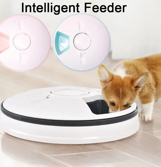 Pet Automatic Feeder Portion Control Digital Timer Detachable Dogs Cats Anti Slip 6 Meal Trays with Voice Dry Wet Food Feeding