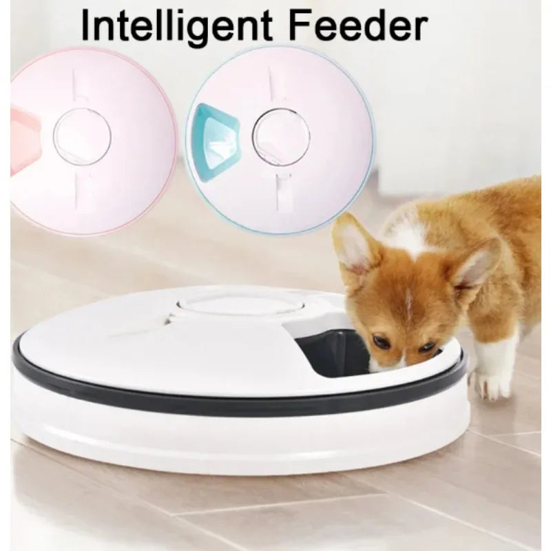 Pet Automatic Feeder Portion Control Digital Timer Detachable Dogs Cats Anti Slip 6 Meal Trays with Voice Dry Wet Food Feeding