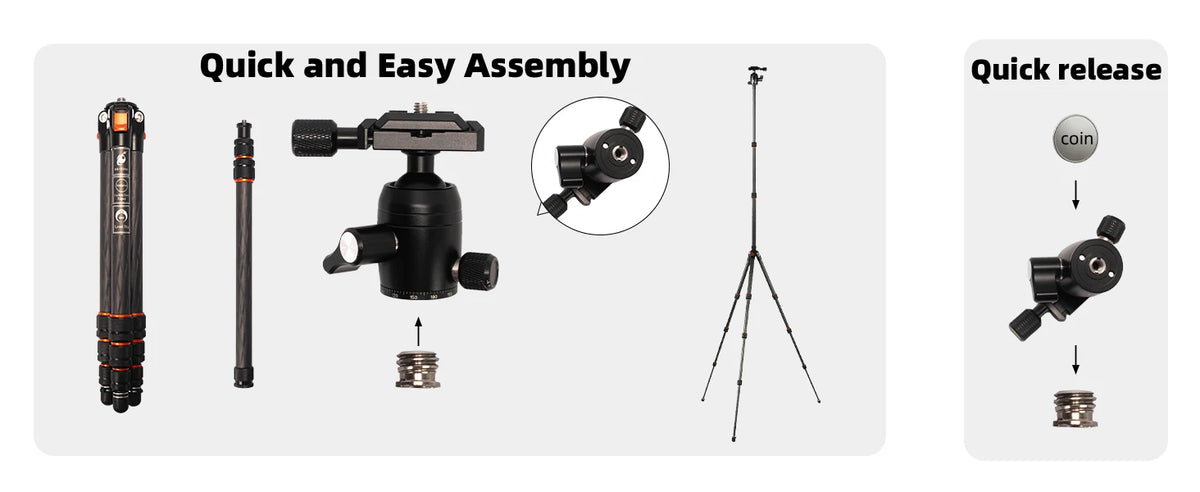BESnfoto BX-T2561 Carbon Fiber Camera Tripod, Ball Head with Phone Holder & Carry Bag, Professional Travel Photo Tripod