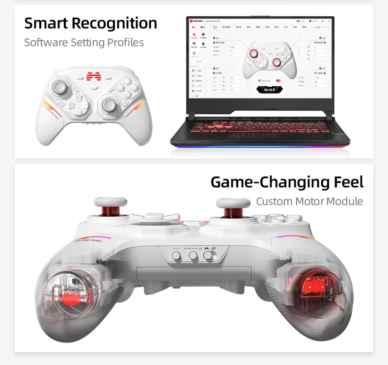 BEITONG PANGU Modular Wireless Controller, DIY Layout, Tool-Free Swap, TMR Joystick, for Switch/PC/Android/iOS