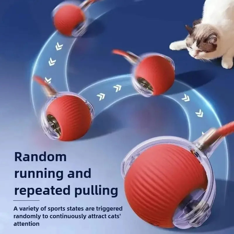 New Cat Interactive Ball Toy,Automatic Rolling Cat Ball Rechargeable,Smart Kitten Interactive Toy,Intelligent Balls Toy for Cat