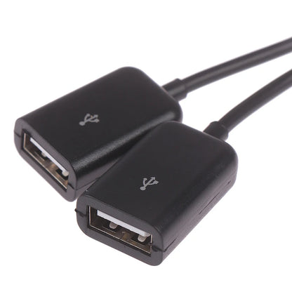 Hot! neue Design Hohe Qualität Portable USB 3.1 Typ C USB-C Dual 2 Port Hub Adapter Für PC Laptop Tablet BK