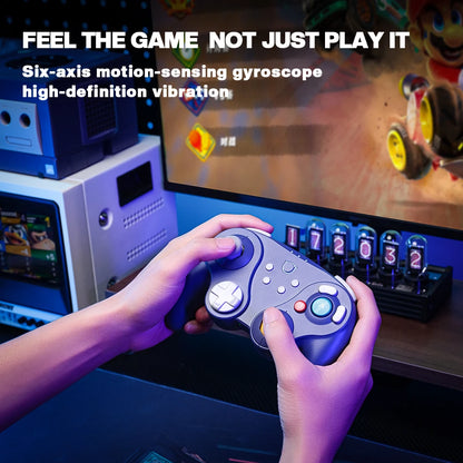 NYXI Warrior Lite Controller for Switch 2, Hall Effect Joystick Wireless Gamepad for Switch OLED/PC, Micro Switch ABXY Buttons