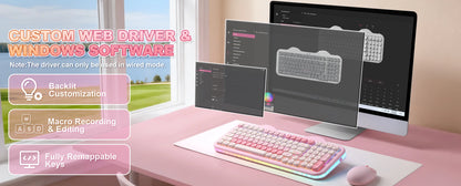 YUNZII C98 Wireless Mechanical Keyboard, 99-Key Hot Swap Gasket Keyboard with Numpad, Custom RGB Backlight,Cute Keeb for Win/Mac