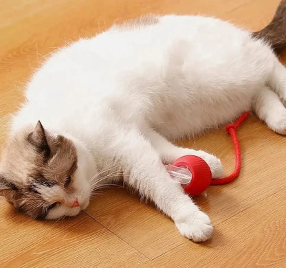 Dog Interactive Ball Toy Automatic Rolling Dog Ball Rechargeable Smart Cat Interactive Toy Intelligent Balls Toy for Pet