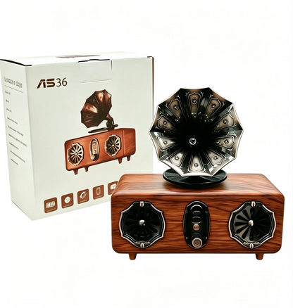 Retro Bluetooth Speaker,FM Radio Vintage Speaker Bass with USB TF AUX Player | Old Fashion Classic Style for Home, Office, Gift