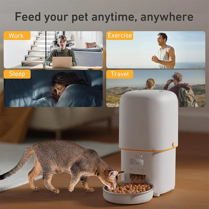 NITYERS 4L Automatic Cat Feeder, Smart Pet Food Dispenser with Key Control, Voice Recorder, Dual Power Supply, Timed Auto Dog Feeder with Stainless Steel Bowl