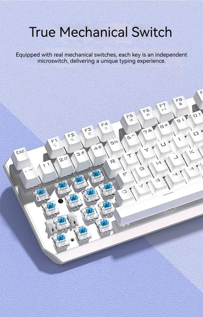 AULA F3087 Pro/F3087 Mechanical Keyboard 75% Layout Backlight Wired Full Key No Punch for Office E-Sport Gaming Keyboard