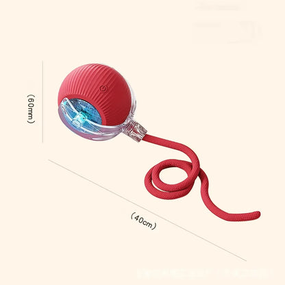 Dog Interactive Ball Toy Automatic Rolling Dog Ball Rechargeable Smart Cat Interactive Toy Intelligent Balls Toy for Pet