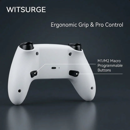 WITSURGE Hall Effect PS5 Controller,Wireless Anti-Drift Gamepad,Dual Hall Joysticks&Triggers,Macro Back Buttons,1500mAh, RGB