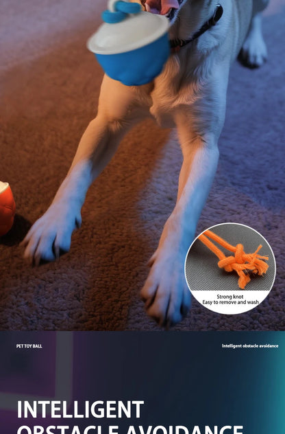 Smart Self-Rolling Electric Dog Ball with Sound Autonomous Operation Realistic Bark & Roll Chew-Resistant for Small Dog Training