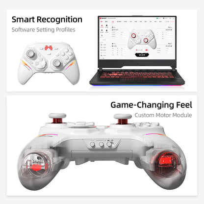 BEITONG PANGU Modular Wireless Controller, DIY Layout, Tool-Free Swap, TMR Joystick, for Switch/PC/Android/iOS