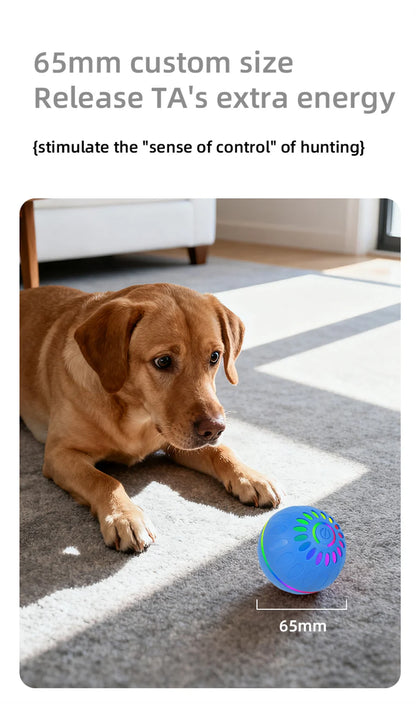 Interactive Smart Dogs Toys Balls - USB Automatic Moving Bouncing Ball for Puppy to Large Dog - Electronic Pets Ball Birthday Gi