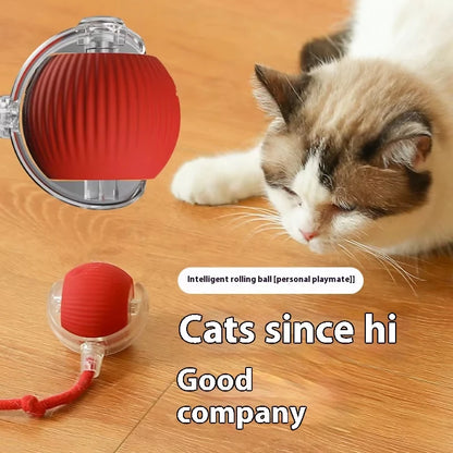 Dog Interactive Ball Toy Automatic Rolling Dog Ball Rechargeable Smart Cat Interactive Toy Intelligent Balls Toy for Pet