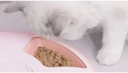 Pet Automatic Feeder Portion Control Digital Timer Detachable Dogs Cats Anti Slip 6 Meal Trays with Voice Dry Wet Food Feeding