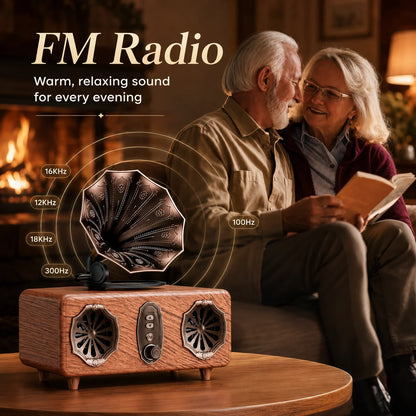 Retro Bluetooth Speaker,FM Radio Vintage Speaker Bass with USB TF AUX Player | Old Fashion Classic Style for Home, Office, Gift