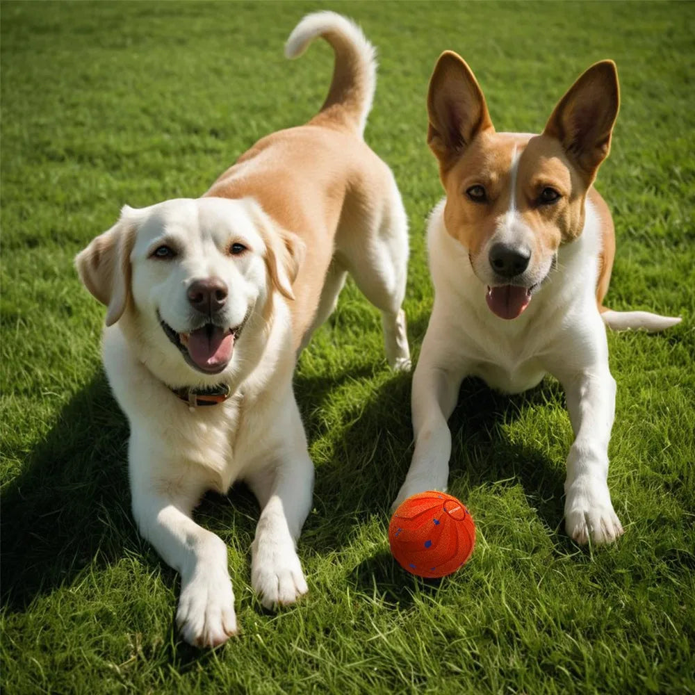 Bite Resistant Smart Dog Toy Ball Wear Resistant Durable Automatic Moving Ball Toy with Light USB Rechargeable Dog Bouncing Ball