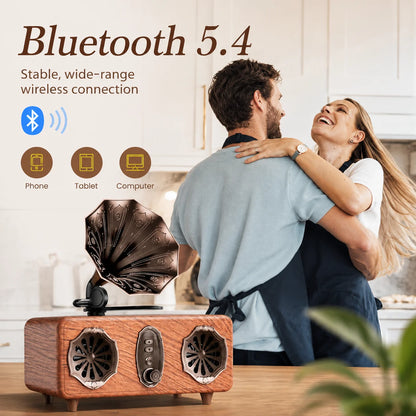 Retro Bluetooth Speaker,FM Radio Vintage Speaker Bass with USB TF AUX Player | Old Fashion Classic Style for Home, Office, Gift