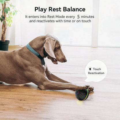Interactive Smart Dogs Toys Balls - USB Automatic Moving Bouncing Ball for Puppy to Large Dog - Electronic Pets Ball Birthday Gi