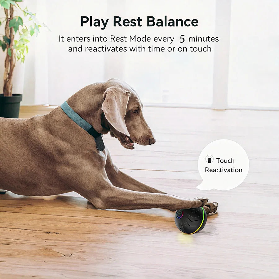 Interactive Smart Dogs Toys Balls - USB Automatic Moving Bouncing Ball for Puppy to Large Dog - Electronic Pets Ball Birthday Gi