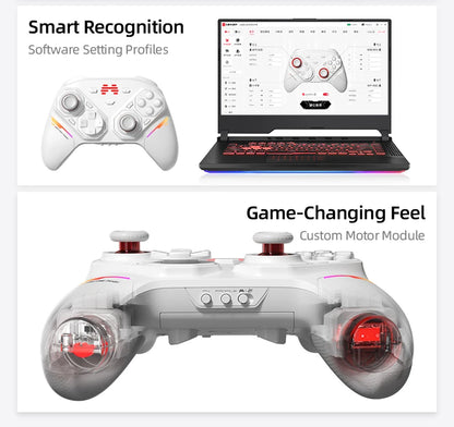 BEITONG PANGU Modular Wireless Controller, DIY Layout, Tool-Free Swap, TMR Joystick, for Switch/PC/Android/iOS