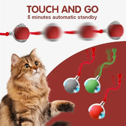 New Cat Interactive Ball Toy,Automatic Rolling Cat Ball Rechargeable,Smart Kitten Interactive Toy,Intelligent Balls Toy for Cat