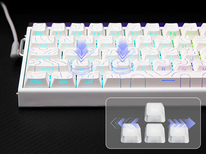 AULA Hero68 HE 65% ANSI US Layout Hot-Swap Wired Magnetic Gaming Keyboard 8kHZ Rapid Hall Effect Switch RGB Backlight Light Box