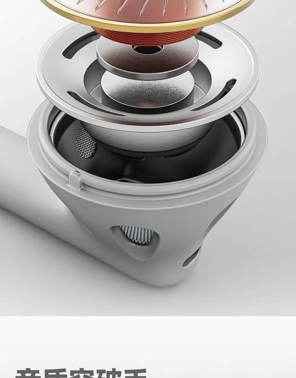 FiiO FF1 Wired in Ear Headphones Ergonomics Lightweight Portable Earbuds Beryllium Plated Diaphragm Detachable Cable Headphones