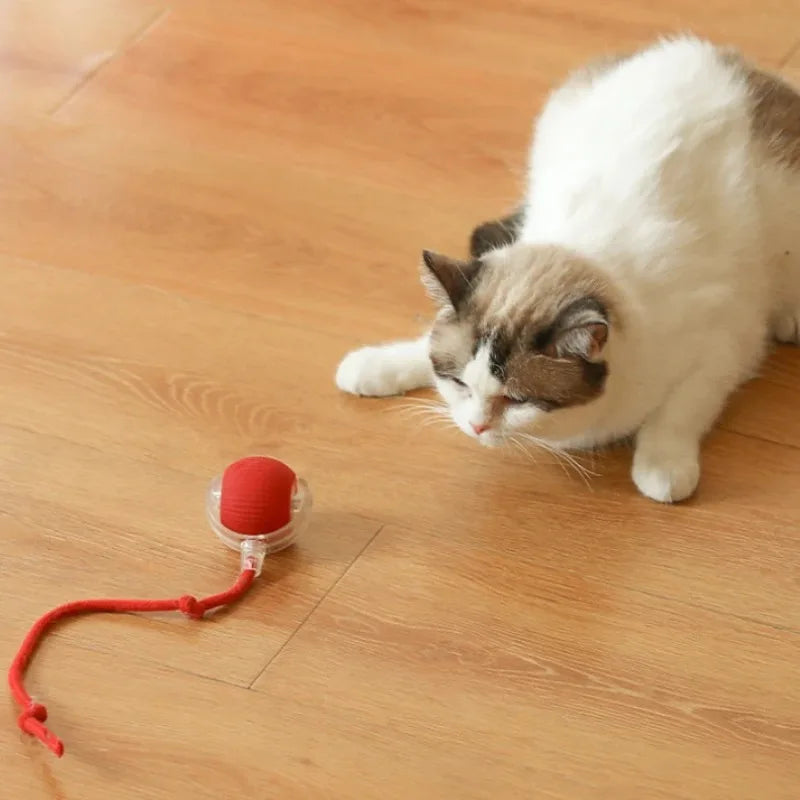 New Cat Interactive Ball Toy,Automatic Rolling Cat Ball Rechargeable,Smart Kitten Interactive Toy,Intelligent Balls Toy for Cat