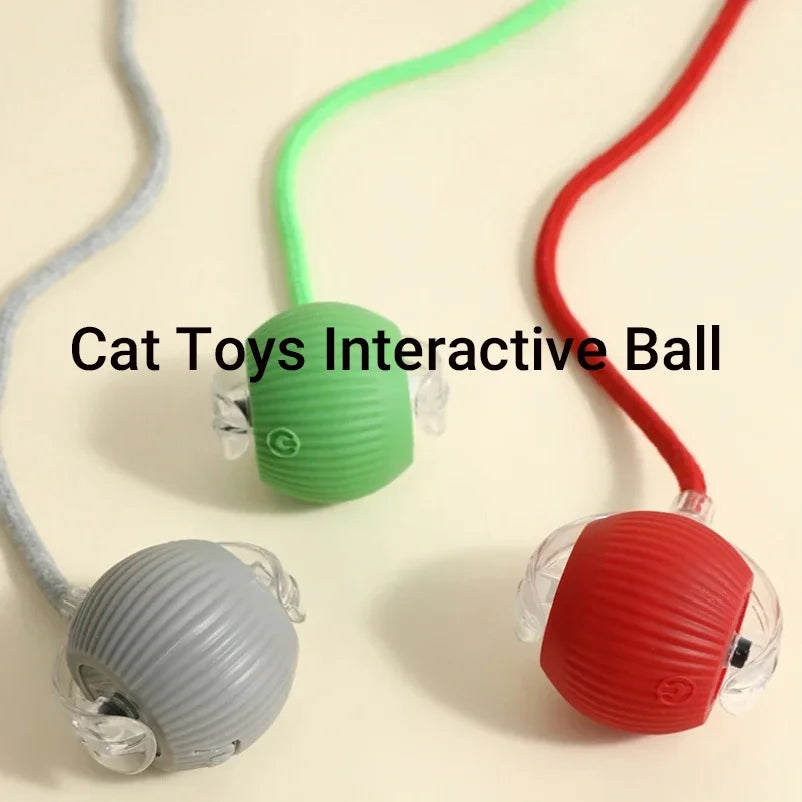New Cat Interactive Ball Toy,Automatic Rolling Cat Ball Rechargeable,Smart Kitten Interactive Toy,Intelligent Balls Toy for Cat