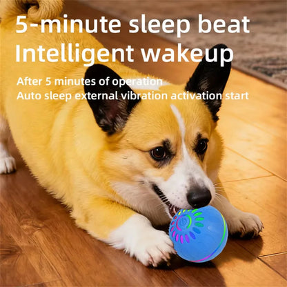 Interactive Smart Dogs Toys Balls - USB Automatic Moving Bouncing Ball for Puppy to Large Dog - Electronic Pets Ball Birthday Gi
