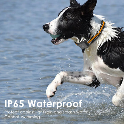 4G Global Pet GPS Tracker C09 Cross-border，Waterproof Cat Dog Locator with Collar，anti-loss Device Long Battery Life Standby